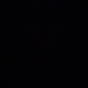 Meet your Posher, Damian